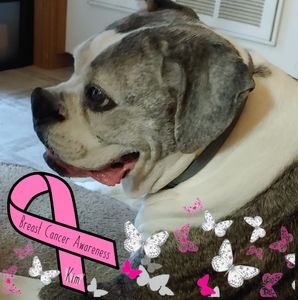 Meet your Posher, Janice